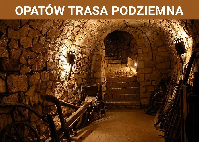 Hotel Miodowy Mlyn